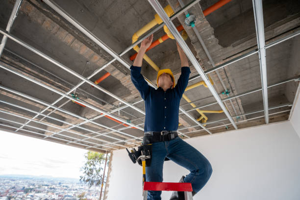 Best Plumbing Inspection Services  in Munford, TN